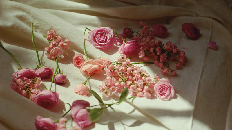 Blush — NALIA Design Series