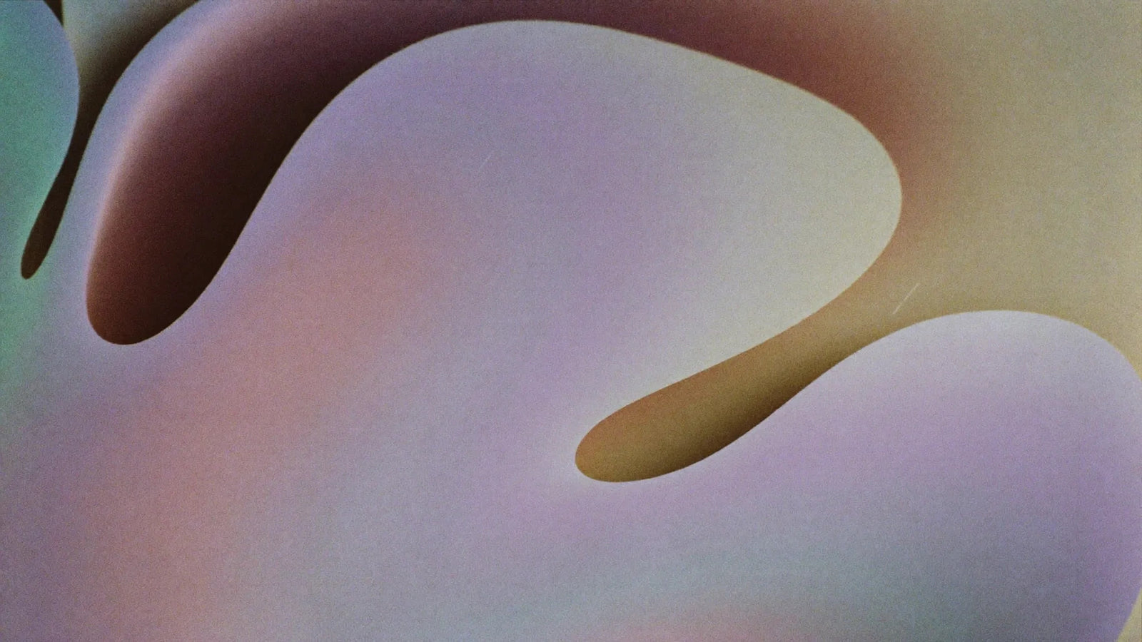 Curves — NALIA Signature