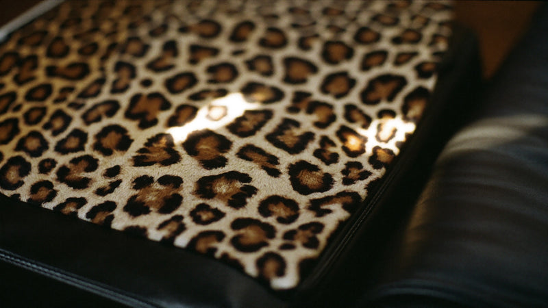 Safari — NALIA Design Series